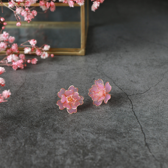 艷麗的牡丹櫻花/季節限定 第6張的照片