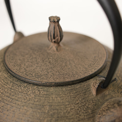 南部鉄器　鉄瓶 「平丸糸目」 ひさご色　1.2L 3枚目の画像