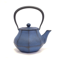 南部鉄器 鉄瓶 「スワローポット」 0.6L 【グッドデザイン賞2021受賞