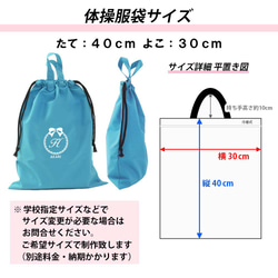 入園入学! レッスンバッグ シューズケース 体操着袋の3点セット　【撥水 ターコイ　リボン】ティッシュが出せる 8枚目の画像