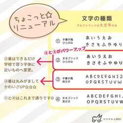 【3枚セット】フルーツのお名前ステッカー☆彡防水 13枚目の画像