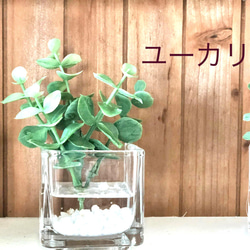 フェイクグリーン　glass cube マジカルウォーター　造花　人工観葉植物　アイビー　シュガーバイン　ユーカリ　 9枚目の画像