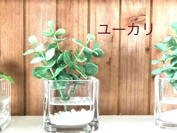 フェイクグリーン　glass cube マジカルウォーター　造花　人工観葉植物　アイビー　シュガーバイン　ユーカリ　 9枚目の画像