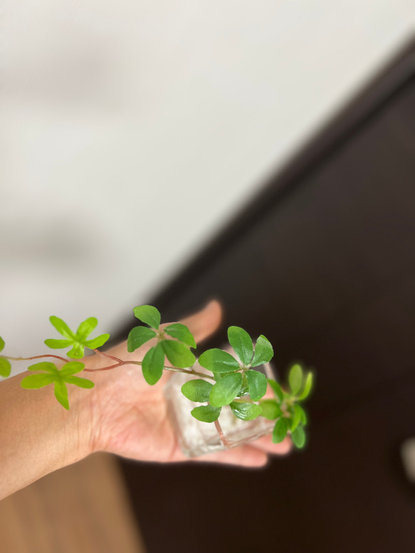 フェイクグリーン　glass cube マジカルウォーター　造花　人工観葉植物　アイビー　シュガーバイン　ユーカリ　 5枚目の画像