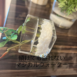 フェイクグリーン　glass cube マジカルウォーター　造花　人工観葉植物　アイビー　シュガーバイン　ユーカリ　 6枚目の画像