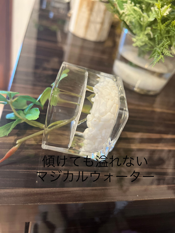 フェイクグリーン　glass cube マジカルウォーター　造花　人工観葉植物　アイビー　シュガーバイン　ユーカリ　 6枚目の画像