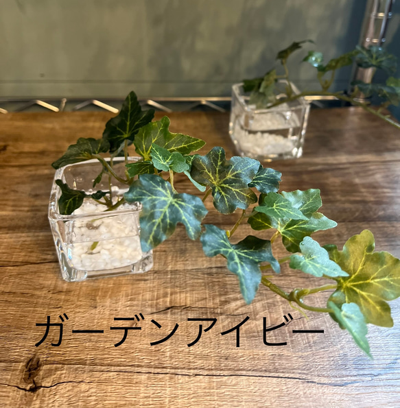 フェイクグリーン　glass cube マジカルウォーター　造花　人工観葉植物　アイビー　シュガーバイン　ユーカリ　 16枚目の画像