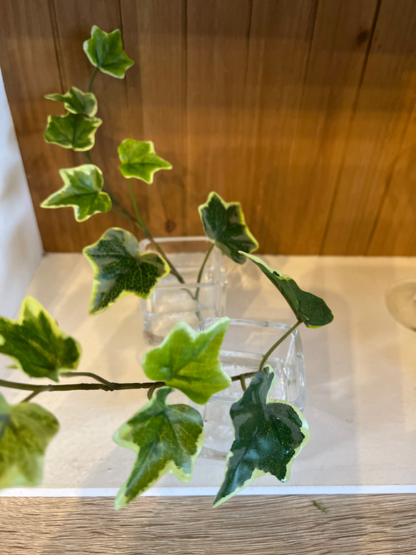 フェイクグリーン　glass cube マジカルウォーター　造花　人工観葉植物　アイビー　シュガーバイン　ユーカリ　 14枚目の画像