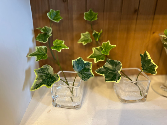 フェイクグリーン　glass cube マジカルウォーター　造花　人工観葉植物　アイビー　シュガーバイン　ユーカリ　 15枚目の画像