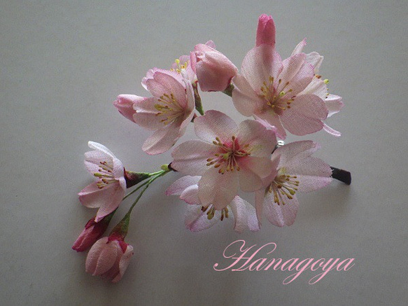 リアル桜！江戸彼岸桜のコサージュ（染井吉野ファミリィーより） 7枚目の画像
