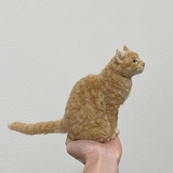 オーダーメイド　ミニチュア猫人形 3枚目の画像