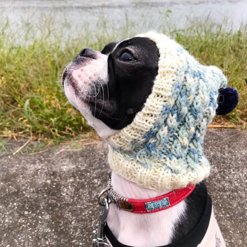 cc様 おまとめ　犬用帽子　被り物　ニット帽　犬用服　イタグレ服　ハンドメイド 楽天市場】＼マラソン☆P10倍／【ベーシックニット帽S】犬 帽子