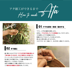  第7張的照片