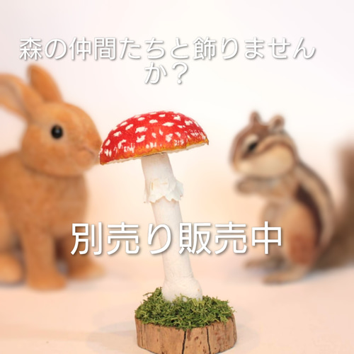 シマリスA 羊毛フェルト 森で逢えたら 通販 8522948｜Creema(クリーマ
