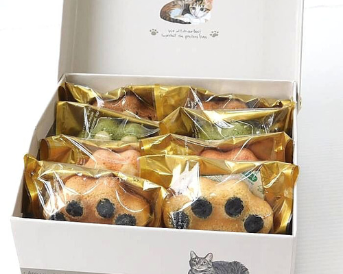 66d8bba47aed2c57abe1acf873c737