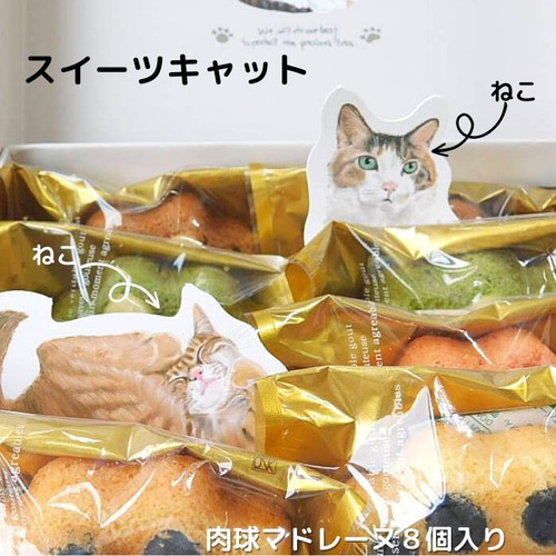 スイーツキャット 猫好きさんへのギフト マドレーヌ 焼き菓子 猫衛門