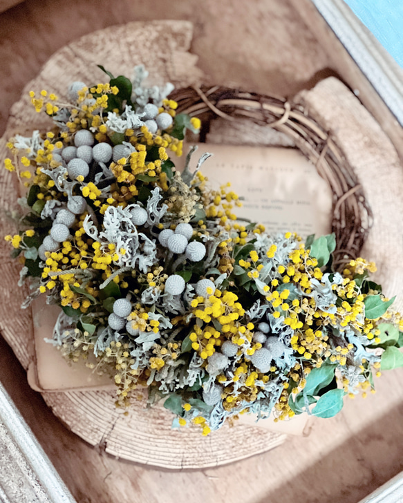 ミモザとシルバーブルニアの春待ちリース パールアカシア ミモザとシルバーブルニアの春待ちリース パールアカシア ミモザと