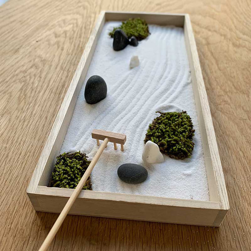 さらにリアルな庭園を再現できる！フリーズドライ苔つきセット