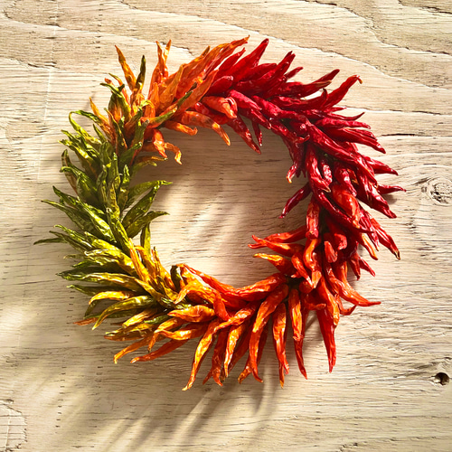 唐辛子リース カラフル Mサイズ その他インテリア雑貨 ネコファーム