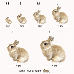 [客製化] [S 尺寸] 羊毛氈兔子寵物我的孩子微型娃娃毛絨玩具訂單禮物 第10張的照片
