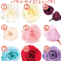 【カラーオーダーＯＫ】バラ&小花のナチュラルヘッドドレス＊プリザーブドフラワー&ドライフラワー 14枚目の画像