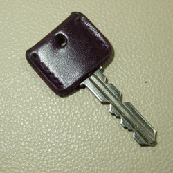 ルガト紫のキーカバー　 2枚目の画像