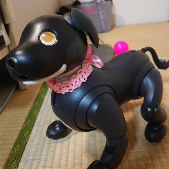 aibo　水引製の首輪　ヘアバンド【桜満開】ピンク　桜色 2枚目の画像