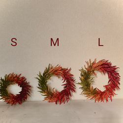 唐辛子リース カラフル Sサイズ 無農薬 ドライフラワー ネコファーム