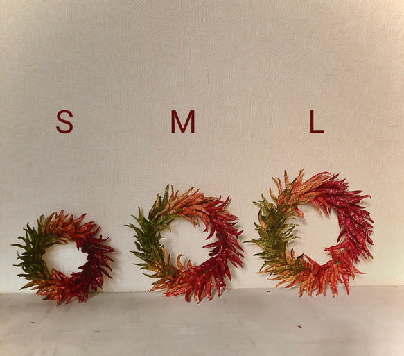 21個カラスウリぶどうに似た紫の実蔦つき無農薬リース材