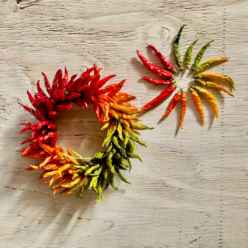 唐辛子カラフルリース Lサイズ ガーランド ネコファーム 通販 8565380