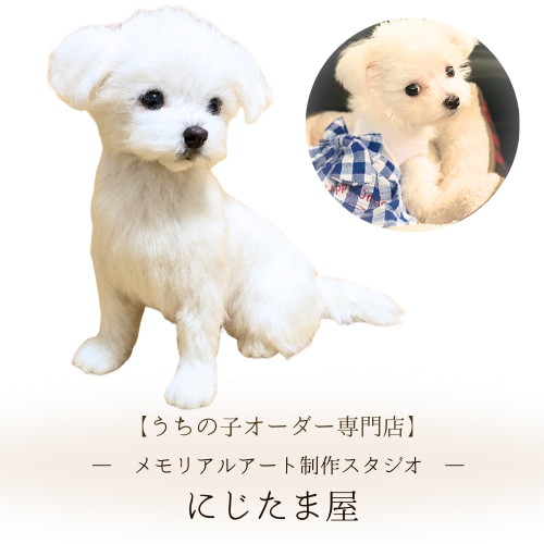 うちの子オーダー羊毛フェルト｜リアルな一点ものメモリアルアート作品