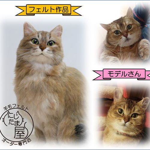 オーダーメイド】ペットメモリアル羊毛フェルト 犬 猫 リアル