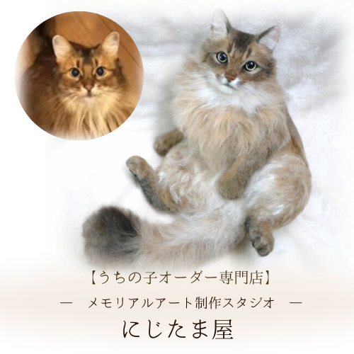 うちの子オーダー羊毛フェルト｜リアルな一点ものメモリアルアート作品