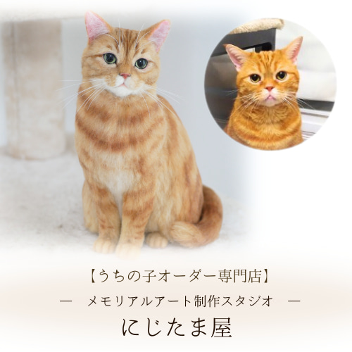 うちの子オーダー羊毛フェルト｜リアルな一点ものメモリアルアート作品