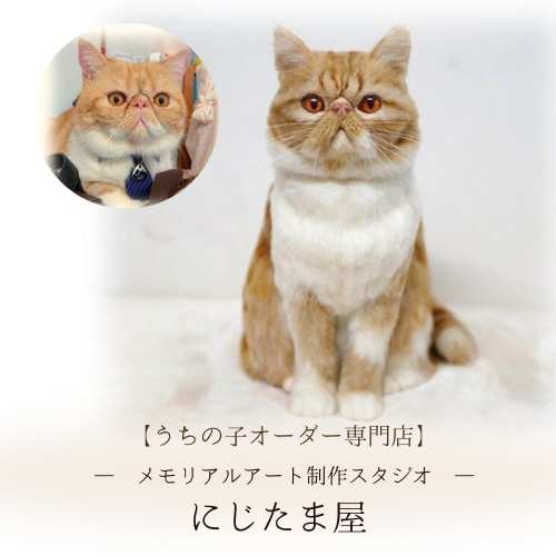 うちの子オーダー羊毛フェルト｜リアルな一点ものメモリアルアート作品