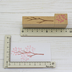 さくら はんこ-桜と枝のはんこ 9枚目の画像