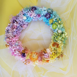 Rainbow シルバーデージーとカスミソウ　虹色のリース　リースブーケ　プリザーブドフラワー　両親贈呈品　結婚式　プレ 5枚目の画像