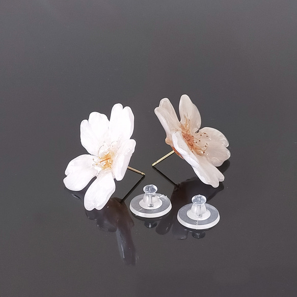 【14kgf】Everpink. こだわりの花びらで仕上げた本物の桜の耳飾り （ピアス）極小〜大ぶり　【受注制作】 1枚目の画像