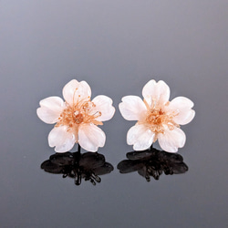 【14kgf】Everpink. こだわりの花びらで仕上げた本物の桜の耳飾り （ピアス）極小〜大ぶり　【受注制作】 2枚目の画像