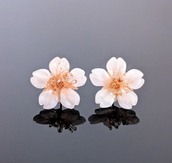 【14kgf】Everpink. こだわりの花びらで仕上げた本物の桜の耳飾り （ピアス）極小〜大ぶり　【受注制作】 2枚目の画像