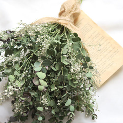 baby's breath and eucalyptus（かすみ草とユーカリのスワッグ）ドライフラワー　 3枚目の画像