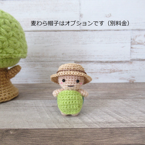 甲羅が脱げるカメさんあみぐるみ(緑) あみぐるみ kouraboshi
