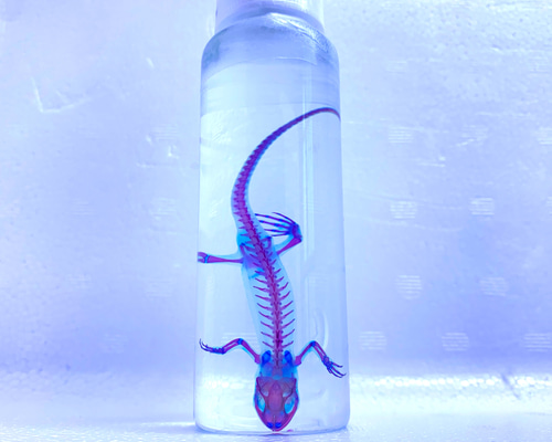 8581e08ba3ac47f2dae485200e049f