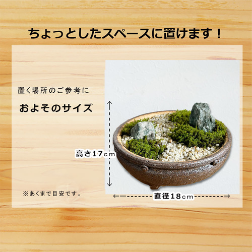 コケを育てませんか？ 【苔盆栽 こけぼんさい（信楽焼平鉢）】 その他
