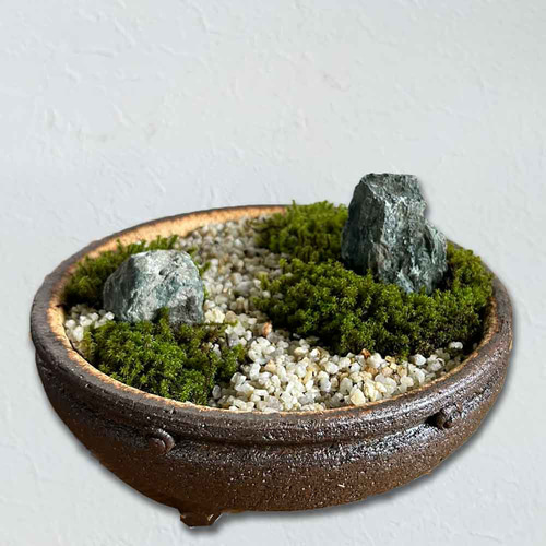 コケを育てませんか？ 【苔盆栽 こけぼんさい（信楽焼平鉢）】 その他