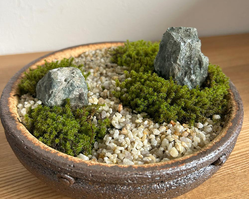 コケを育てませんか？ 【苔盆栽 こけぼんさい（信楽焼平鉢）】 その他