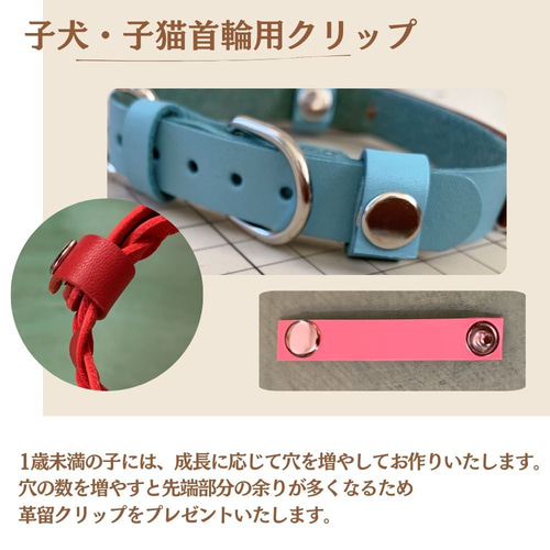 優しいつけ心地】 猫・犬用 本革首輪 お名前・電話番号刻印で