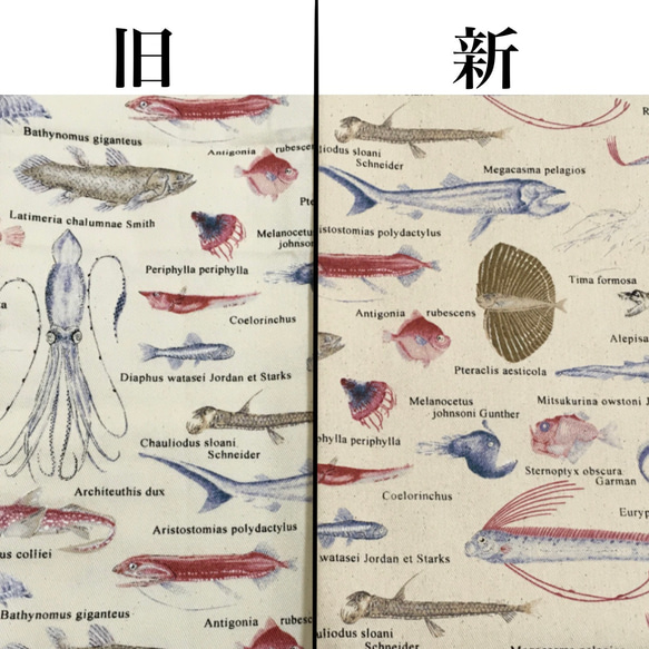 深海魚の大きめキャラメルポーチ 深海魚柄 魚 化粧ポーチ 深海魚  ストライプ  珍しい 5枚目の画像