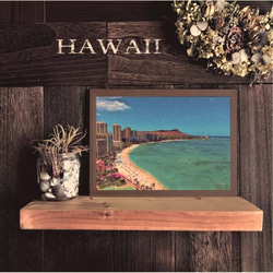 送料無料】南国の風景☆HAWAII No.583 フレーム付 A4サイズ 写真
