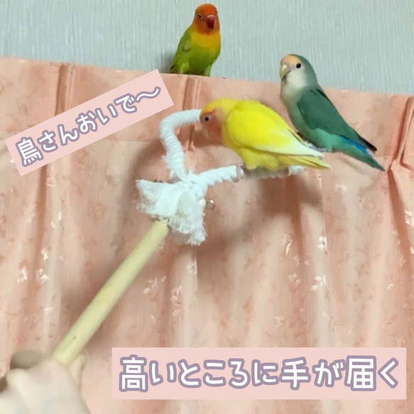 安全で安心《とりとりスティック》✩.*˚鳥ブランコ インコ